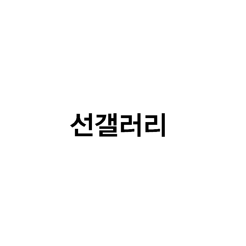 선갤러리
