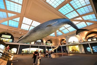 American Museum of Natural History