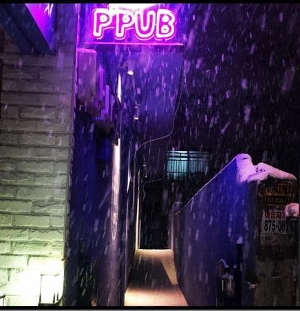 피펍