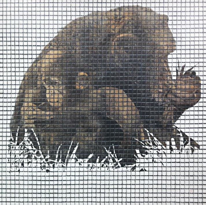 김계선의 작품