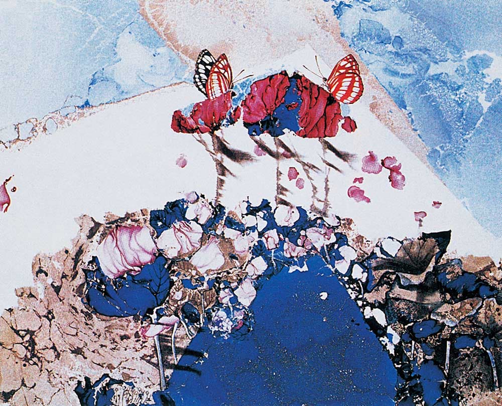 김순지의 작품