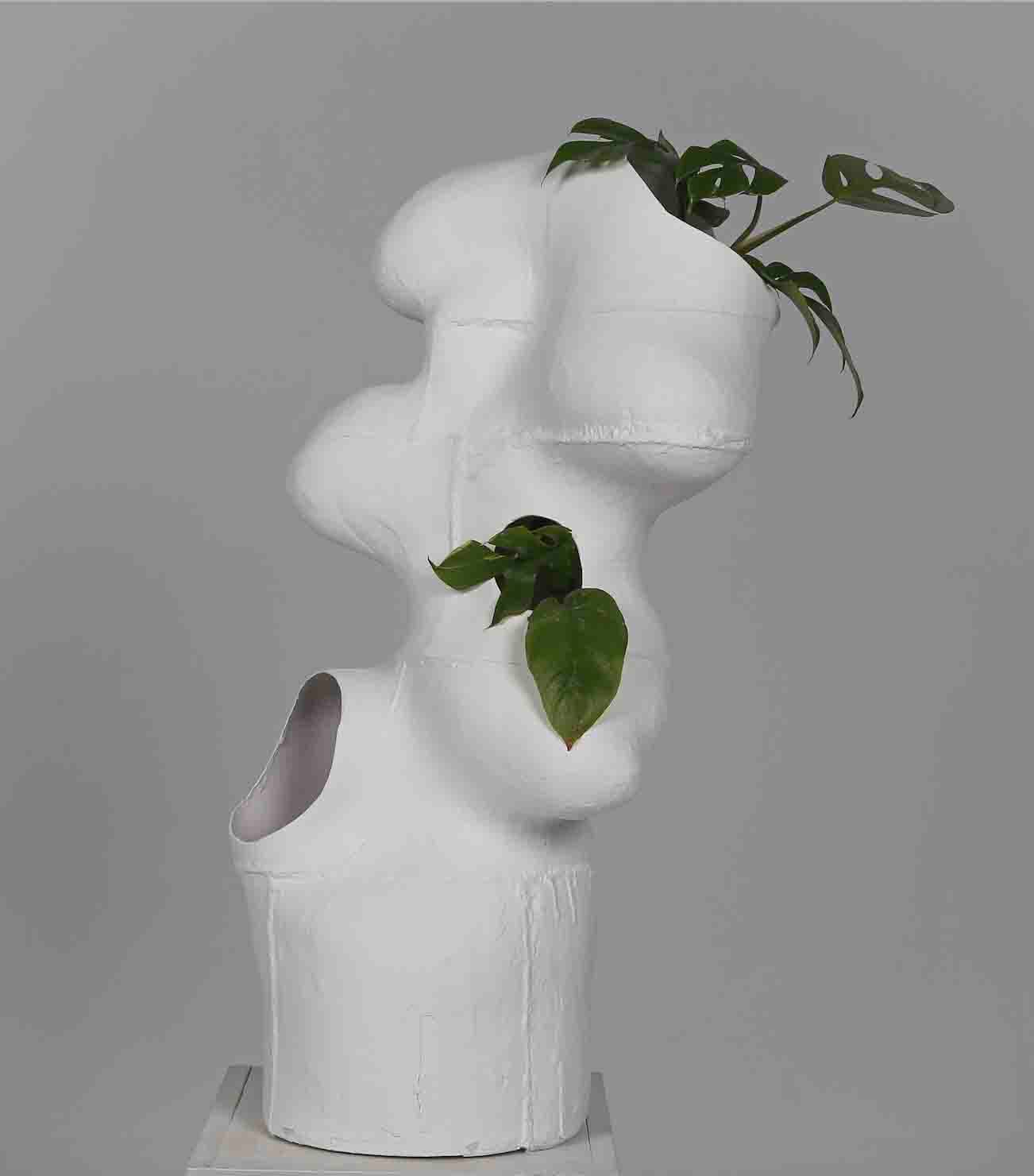 Individual space: Monstera, 6month · 3D print with plant, Photoghraph · - · 2020-2021 (6month) (출처= 사이아트스페이스&사이아트도큐먼트)