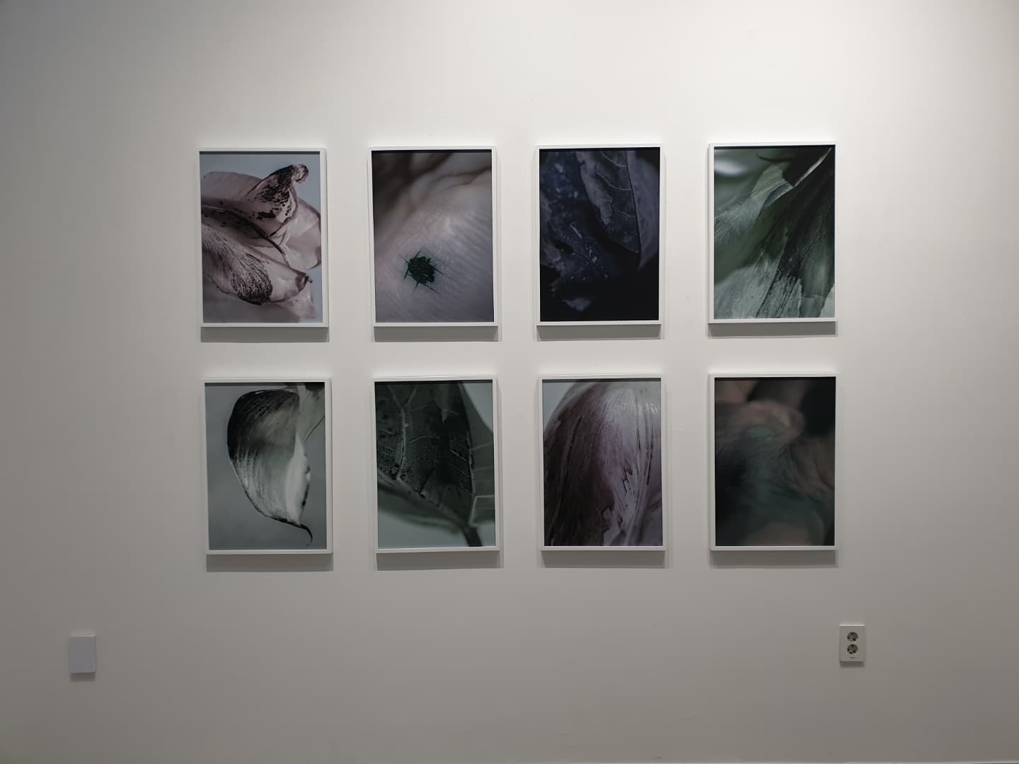 결 · Inkjet Print · 42.0×59.4cm · 2021 (이미지 제공 = 갤러리밀스튜디오)