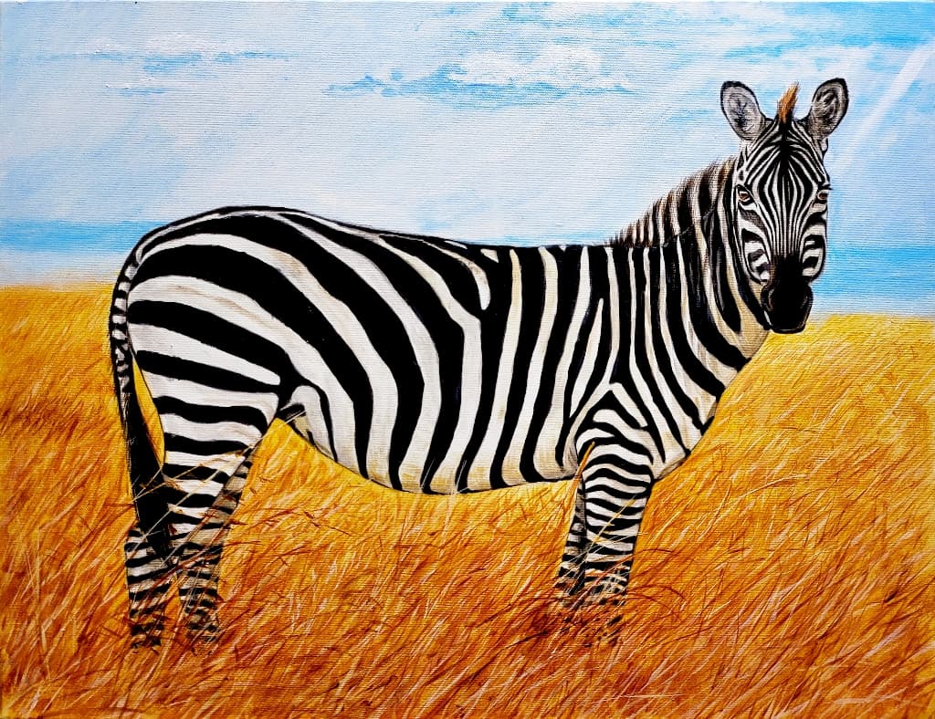 zebra