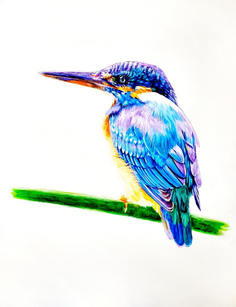 kingfisher