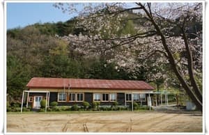 G갤러리