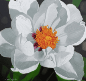 flower (부귀영화2)