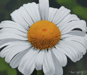 flower (순수) 