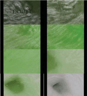 doubt