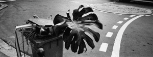Place Michel-Audiard, Paris, 30 septembre 