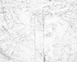 White 05
