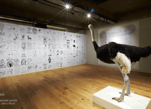 ostrich
