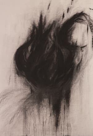 붓꽃