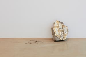 The Stone of The Monster