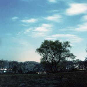 밤의 얼굴, 경주