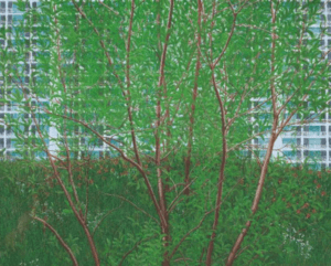 옆차도