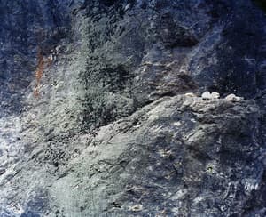 The Rock