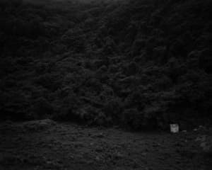 The White Shaded Backyard_ Yeongwol