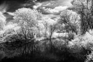 THE PARK #09
