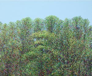 생명의 숲