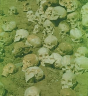 A-Group-of-Skeletons