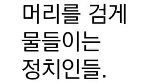 머리를 물들이는 정치인들 -- 무엇을 감추나?