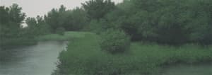 There Is No Place