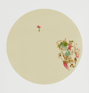 the stains-dr-56-0229