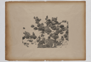 Untitled (study of Being)