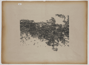 Untitled (study of Being)