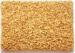 Aggregation 95-015