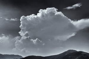 운(雲) 좋은 날 #27