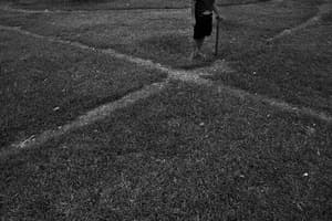 앞선 이의 걸음 위로 역시