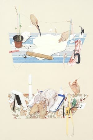내가 본 것