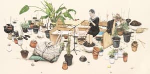 오목한 노래
