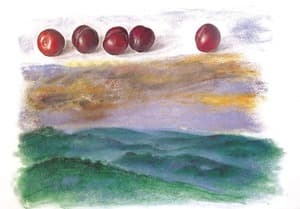 Plums and field
