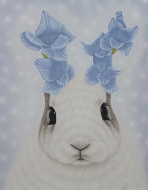 Antic and rabbit