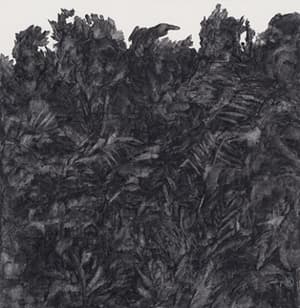 Blanc-Black-Blank