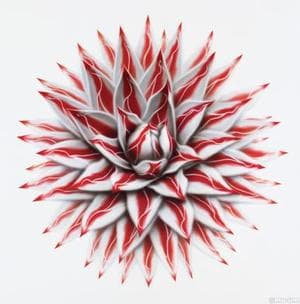 Flower of Desert-Permeating