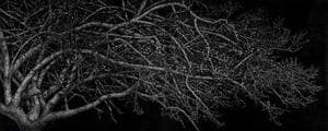 달빛(MOONSCAPE)
