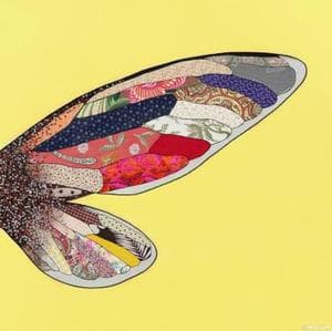 반쪽 날개