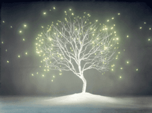 The tree of life3-6