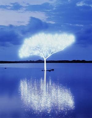 Tree of Life 5-4-9