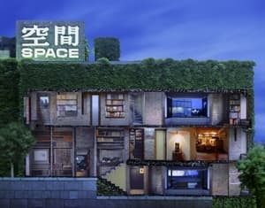 The Ivy Space