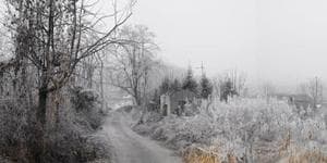 Mist and Frost 25