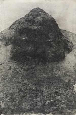 미국의 사막 I 92-17