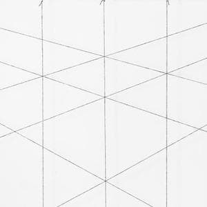 Perspective View ll