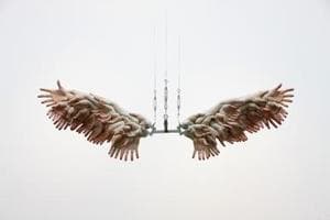 The Wings