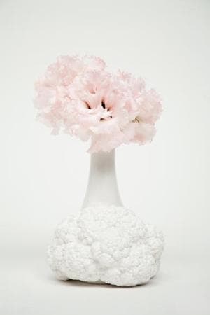Cauliflower Vase2
