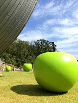 An apple